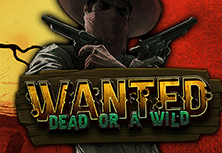 Wanted Dead or a Wild