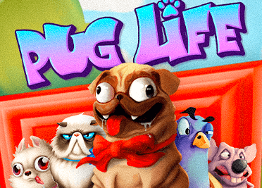 Pug Life