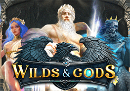 WildsAndGods