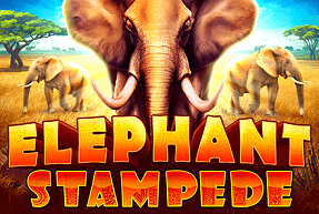 Elephant Stampede