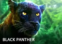 Black Panther